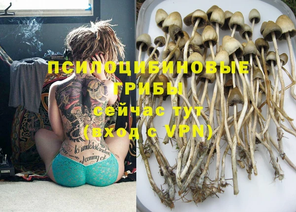 прущая мука Верхний Тагил