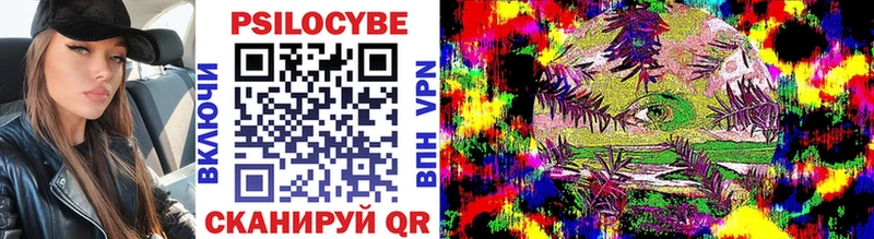 Псилоцибиновые грибы Cubensis цены Яхрома